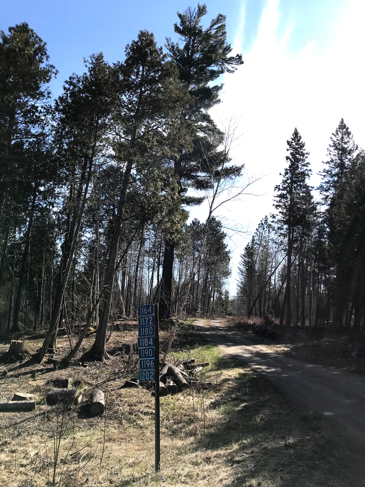 Sand Lake Rustic Campground