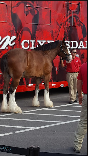 del Lago Resort & Casino