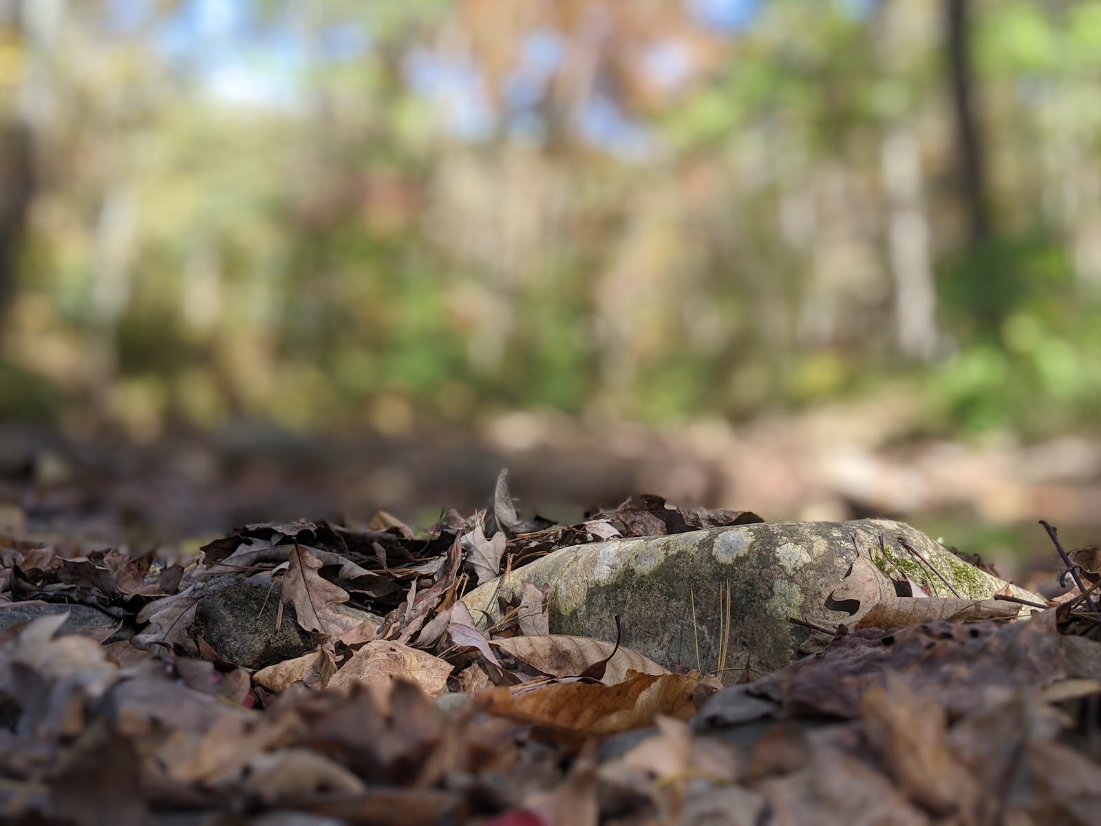 Otter Creek Campground - Blue Ridge Parkway National Park