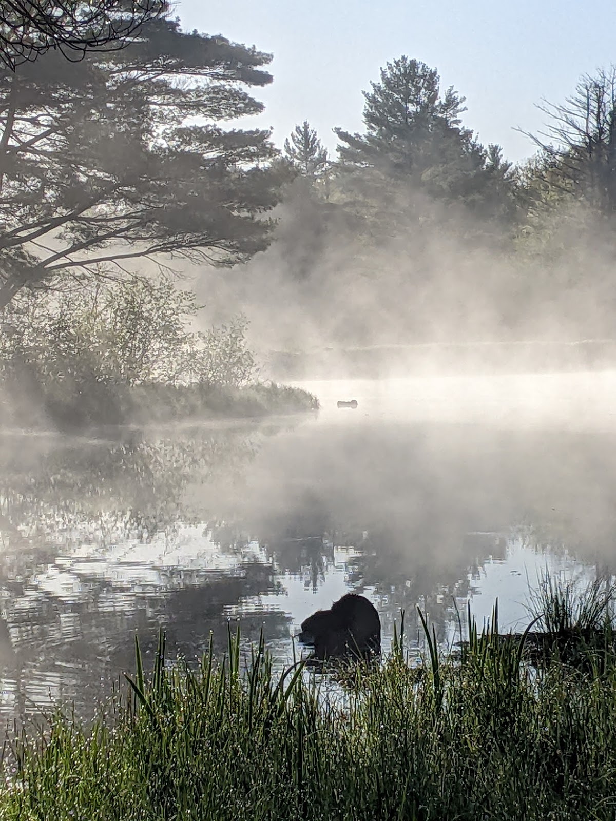 Merlin Lambert County Park