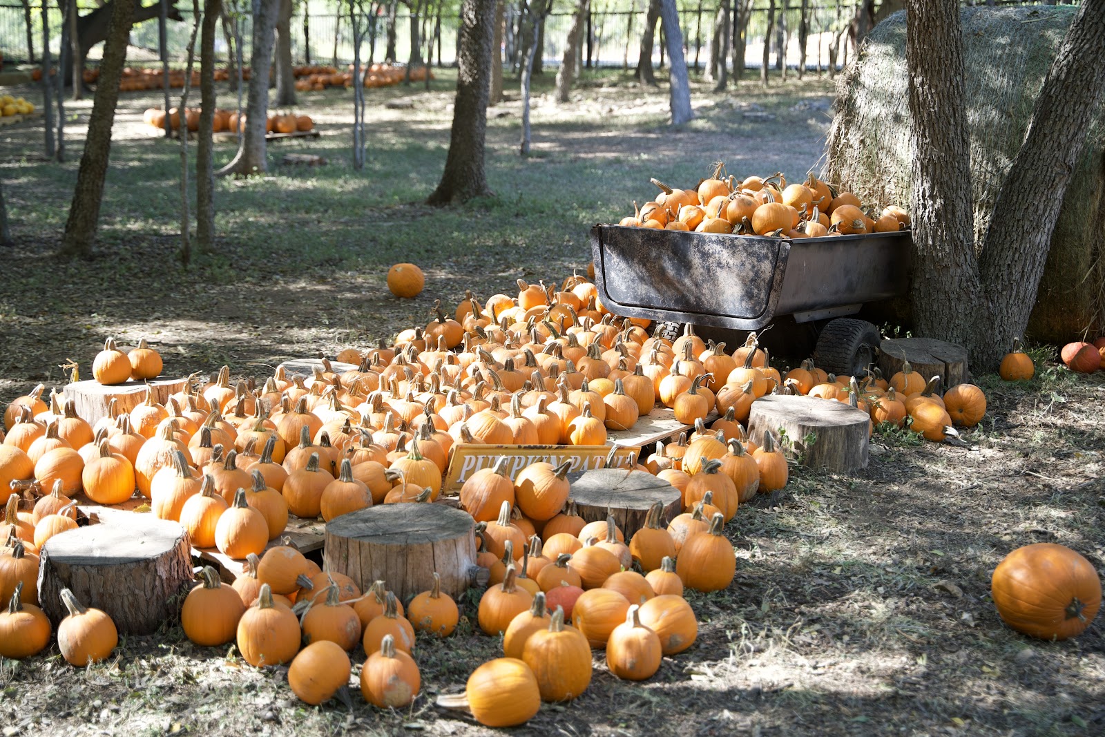 Indian Springs Ranch