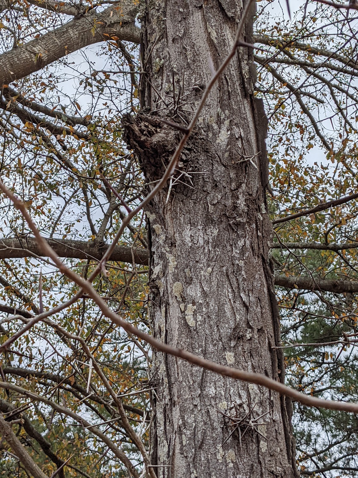 New Rock Dale Welding & RV Park