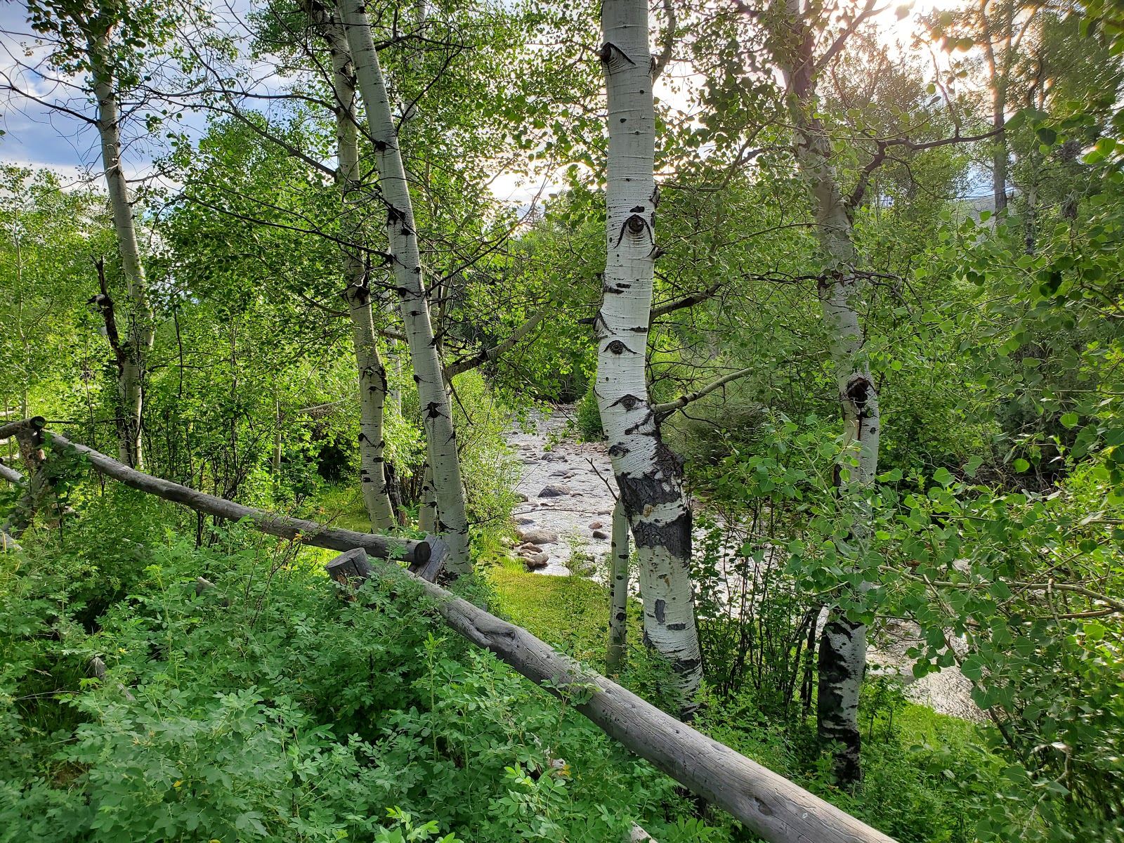 French Creek Campground