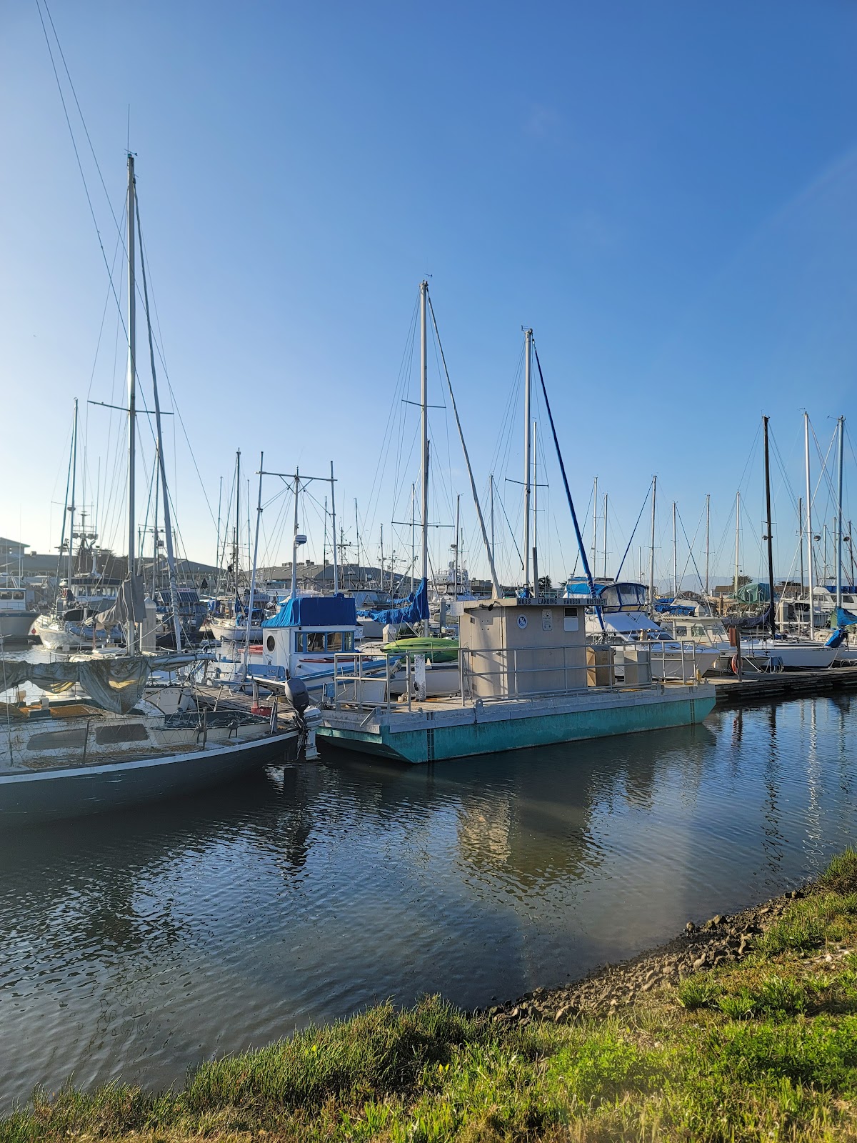 Moss Landing KOA Express Plus