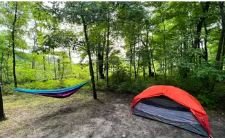 Bruin Lake - Pinckney SRA