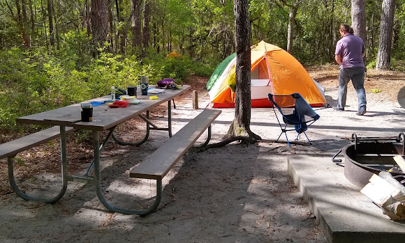 Carolina Beach State Park