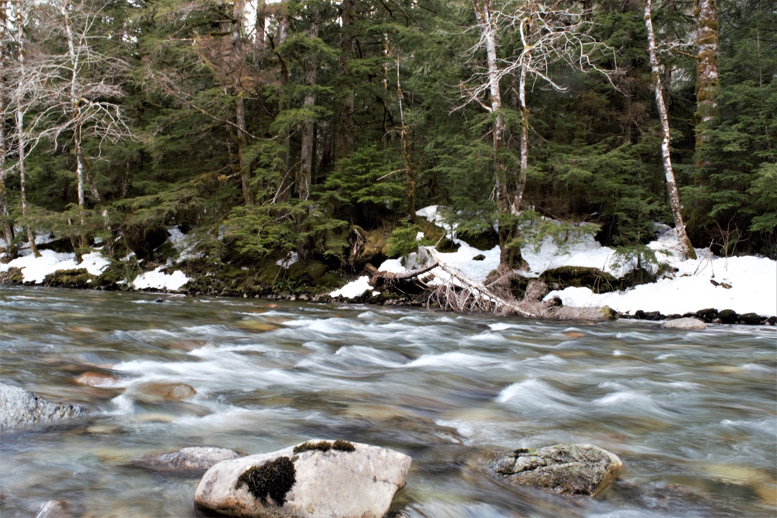 Beaver Creek Group Campground