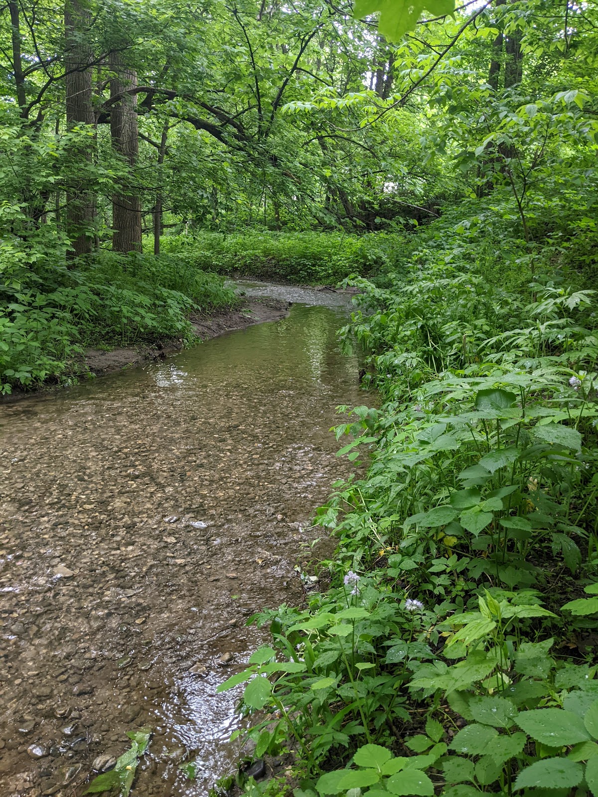 Peaceful Valley Campsites