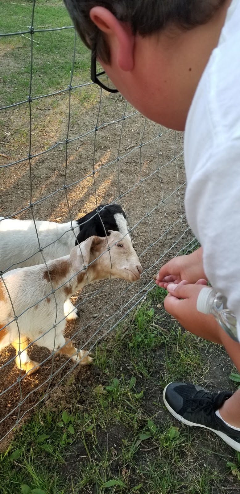 Lost Haven Campground