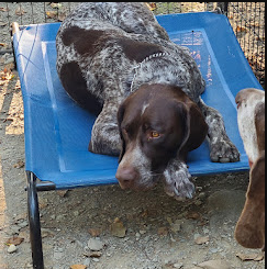 Moose River Campground