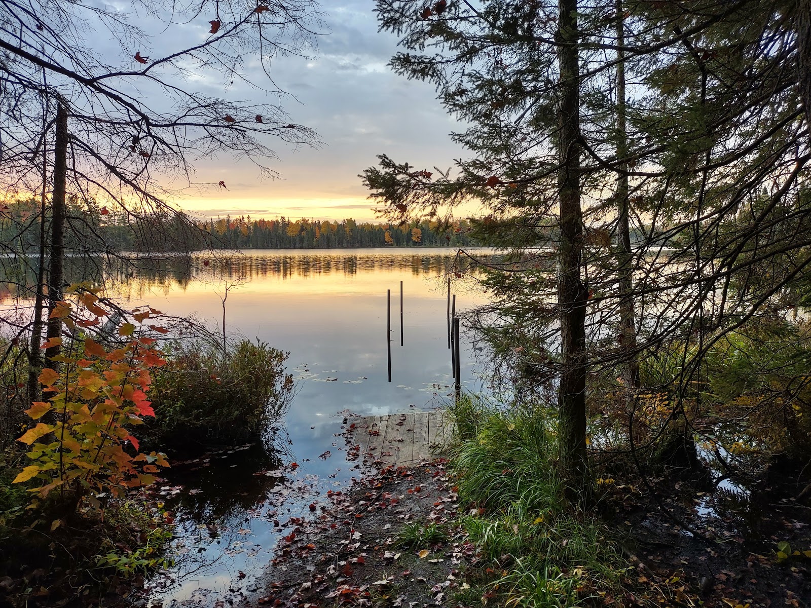 Henry Lake NF Campground
