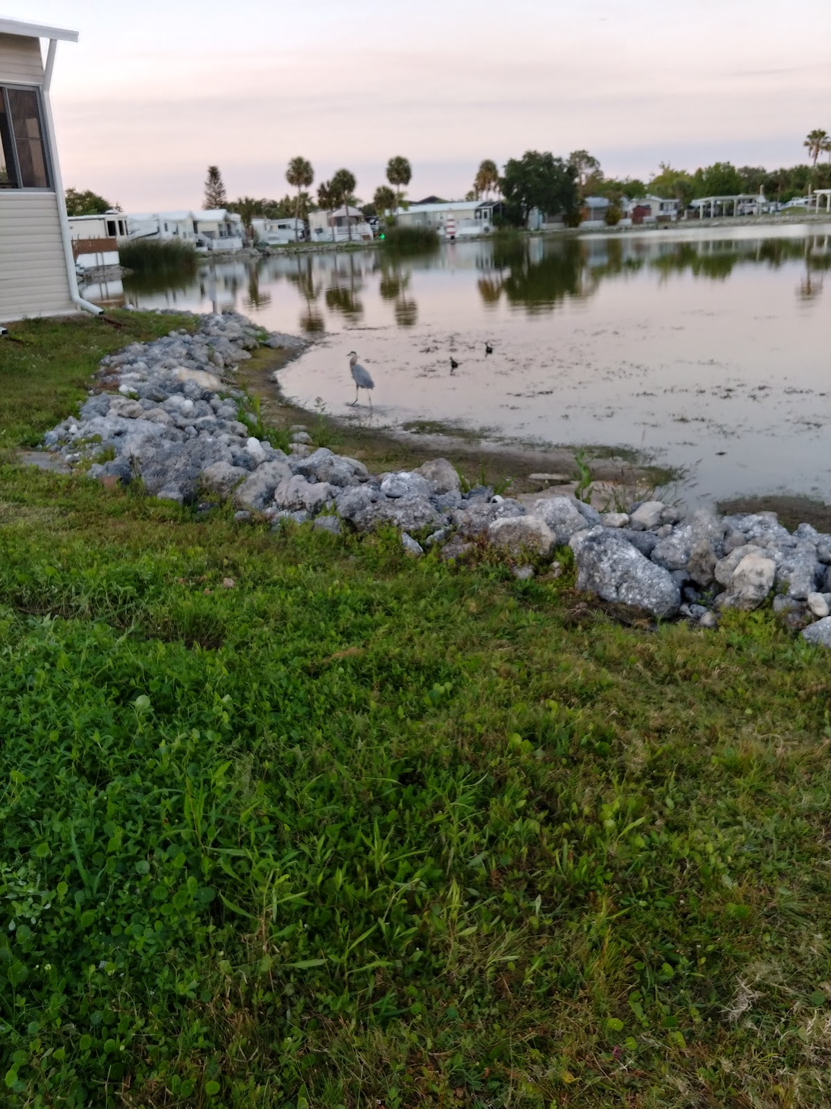 Encore RV Resort- Sarasota North