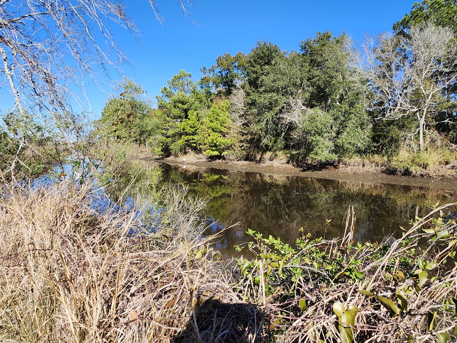 Hollywood Casino RV Park