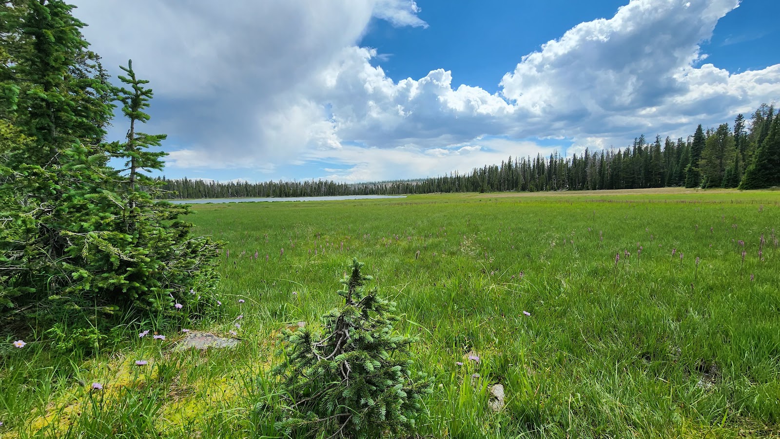 Pole Creek Lake Campground
