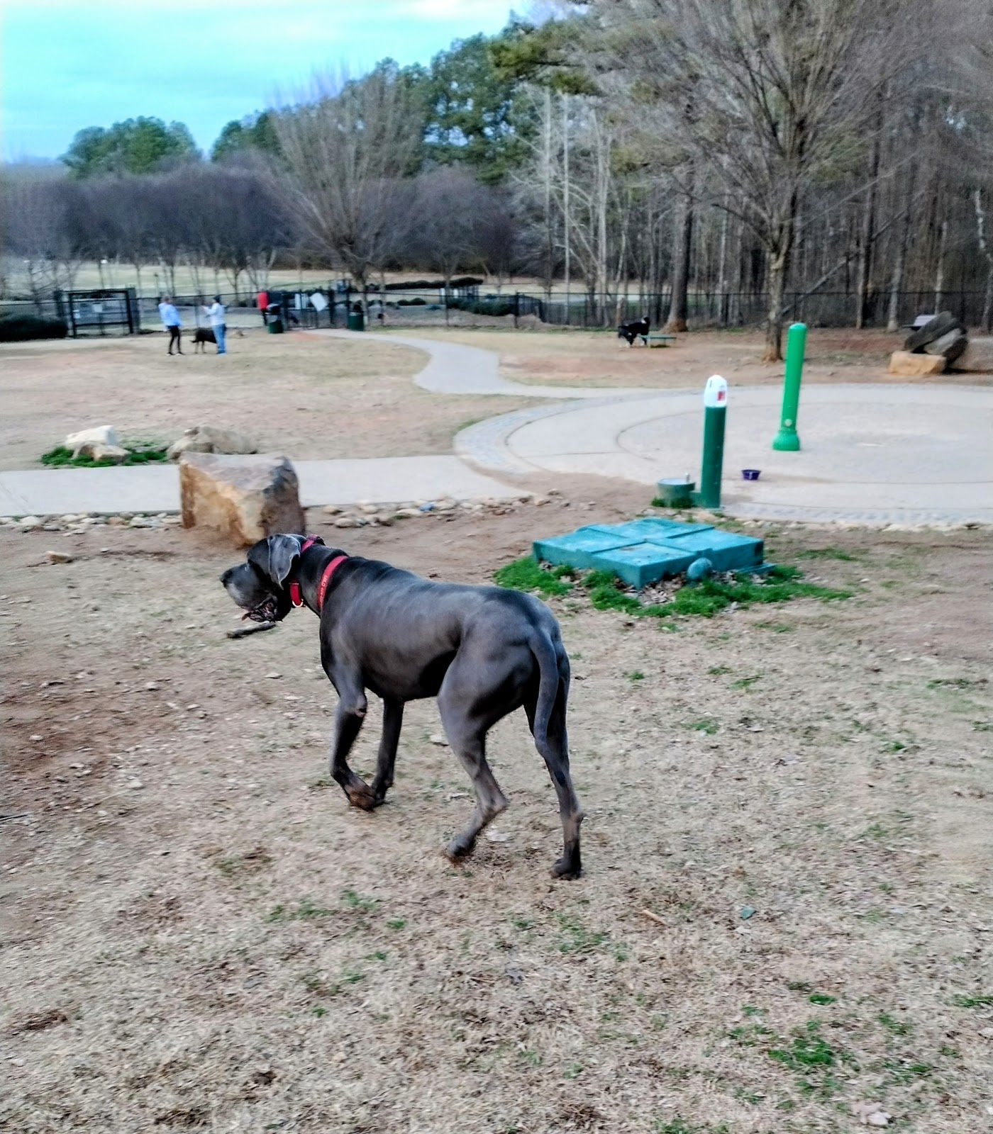 Chattapoochee Dog Park