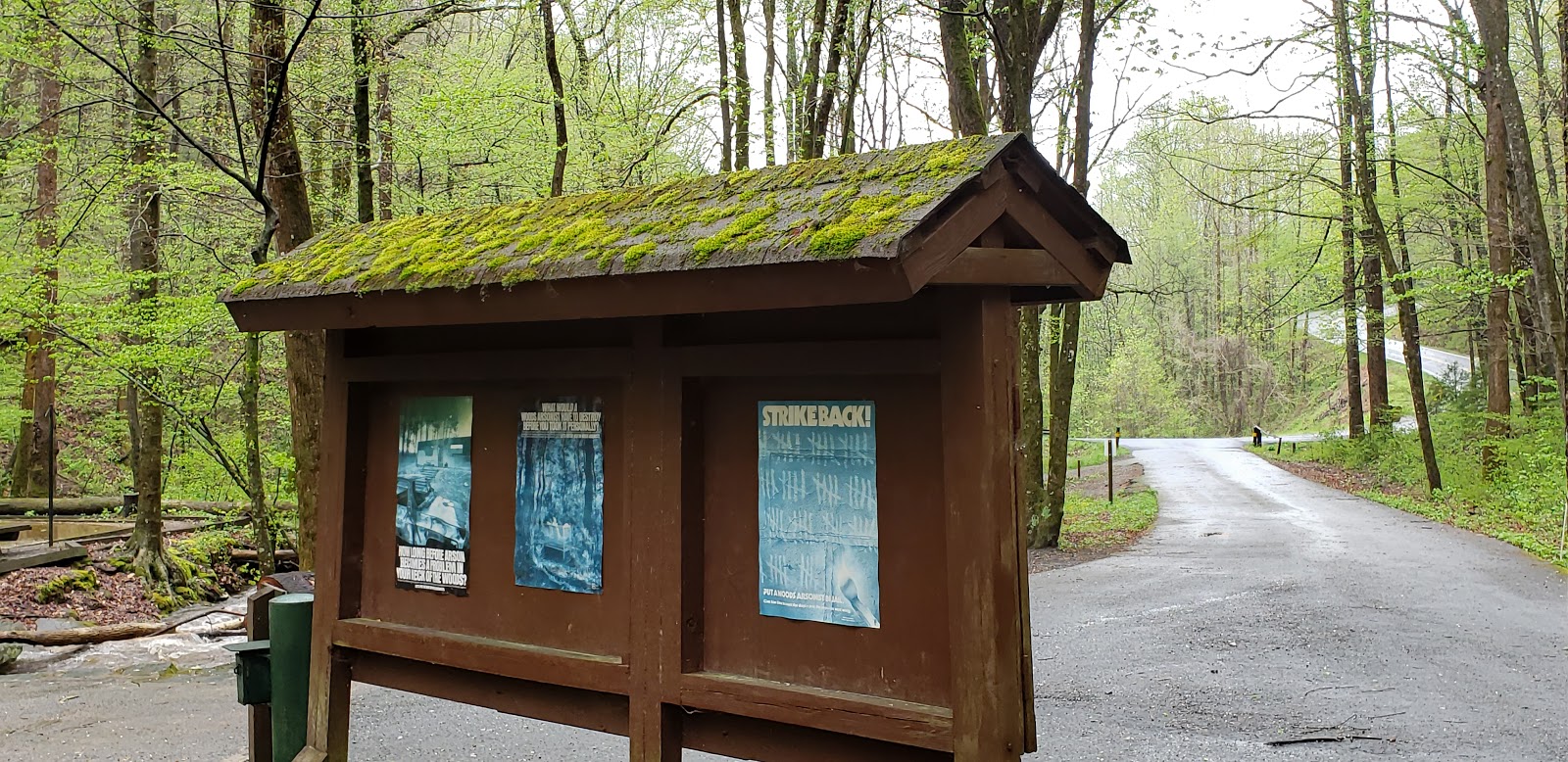 Andrews Cove Campground