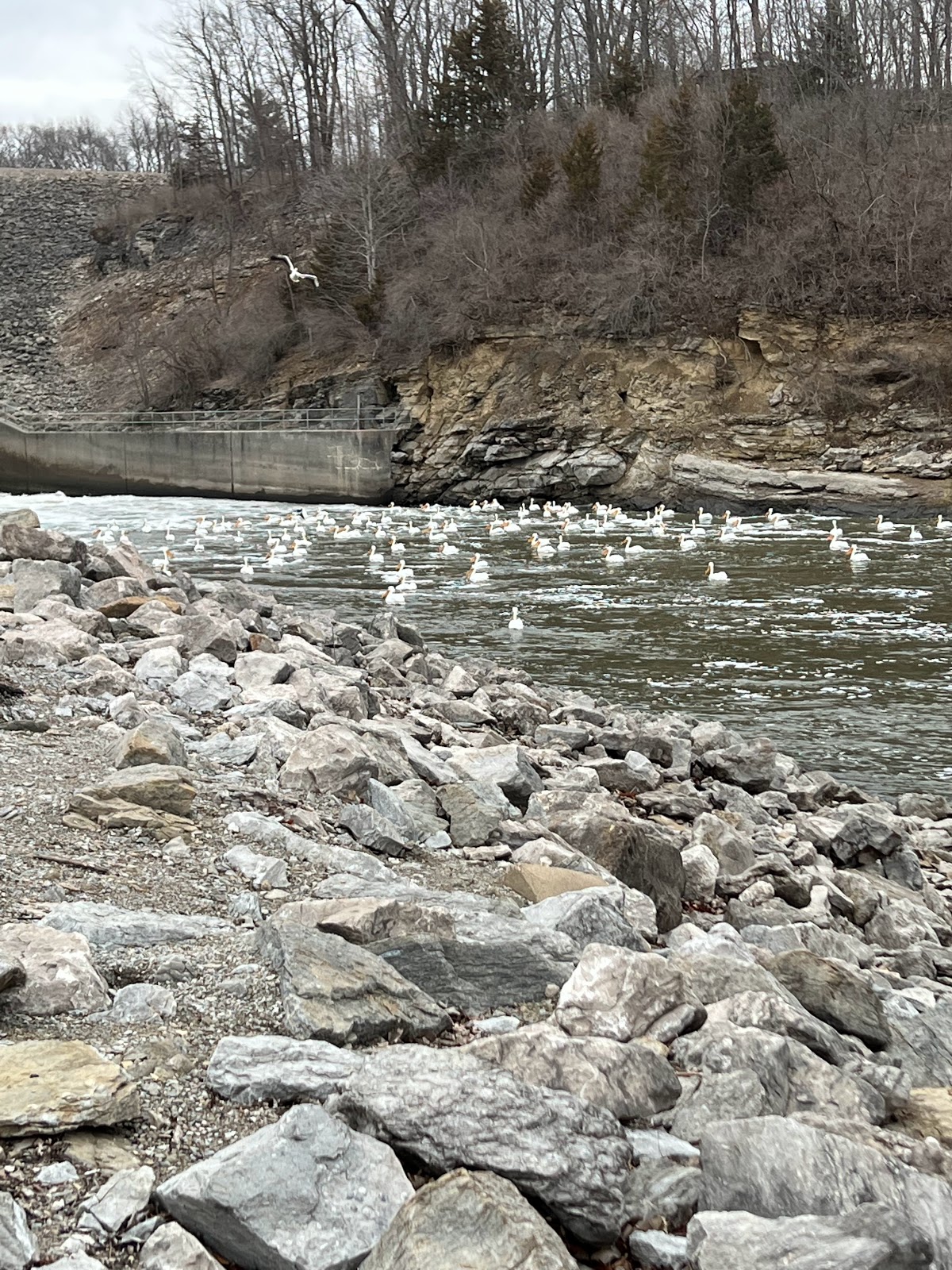 Tailwater West Campground