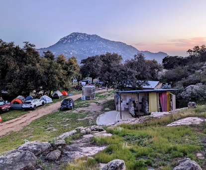 The Good Vibes Worldwide Networkrmation