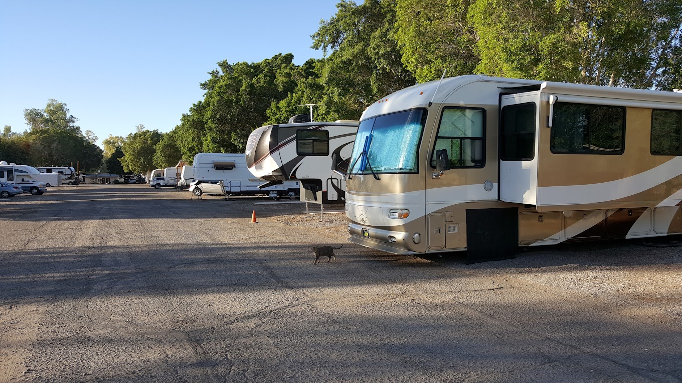 River Front RV Park