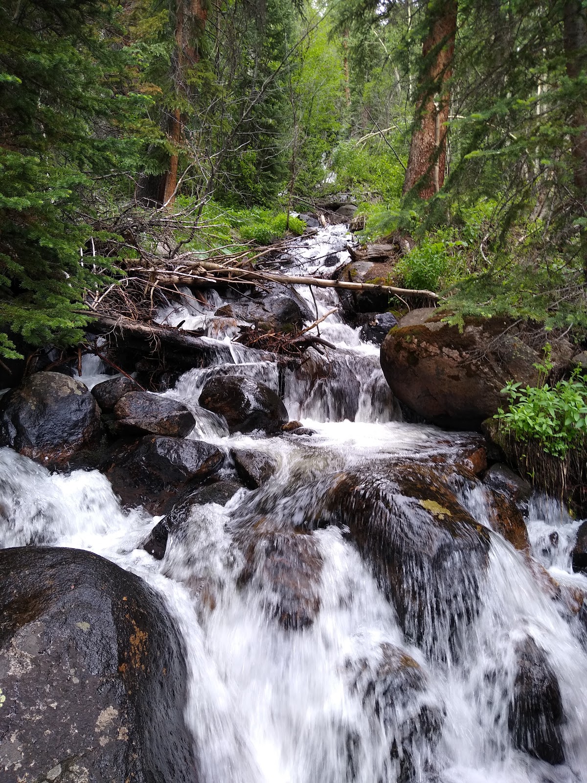 May Queen Campground