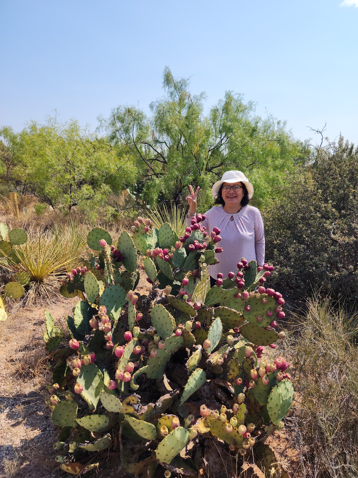 Lake Colorado City State Park