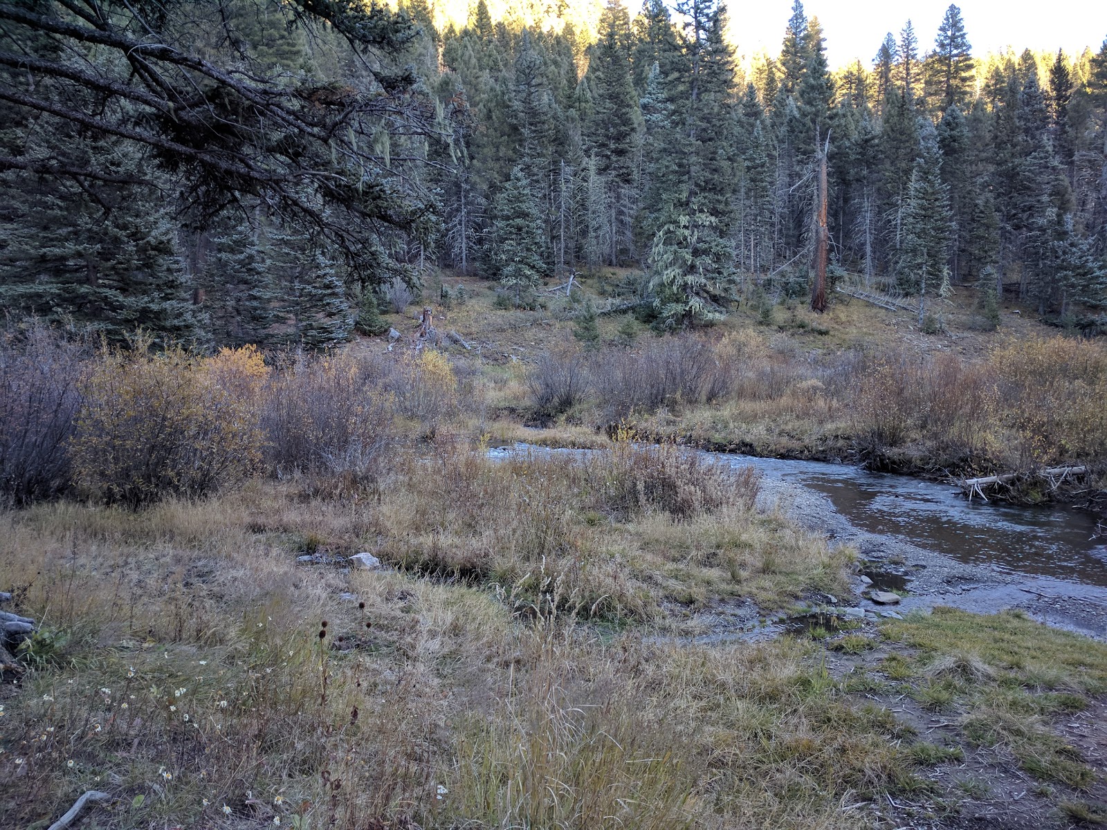 Upper La Junta Campground