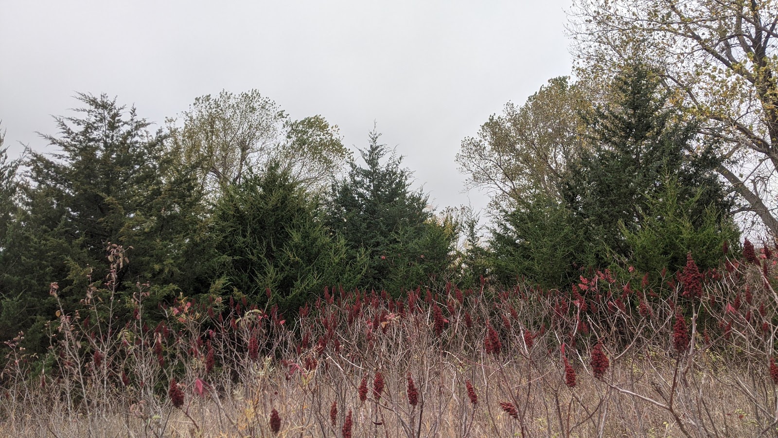 Sand Hills State Park Campground