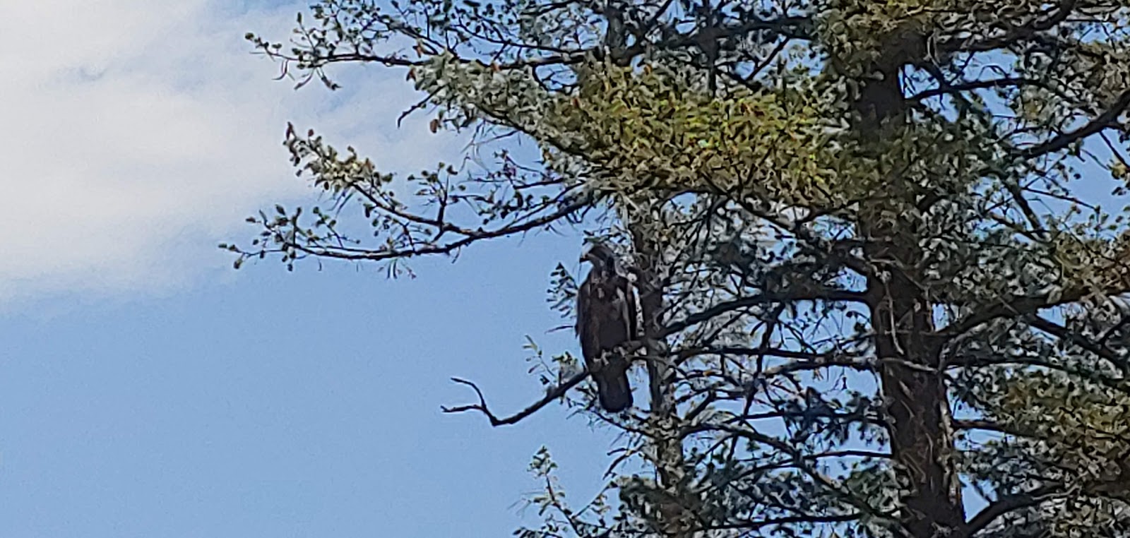 Tobacco River Campground