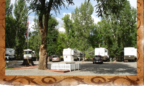 Shady Creek RV Park