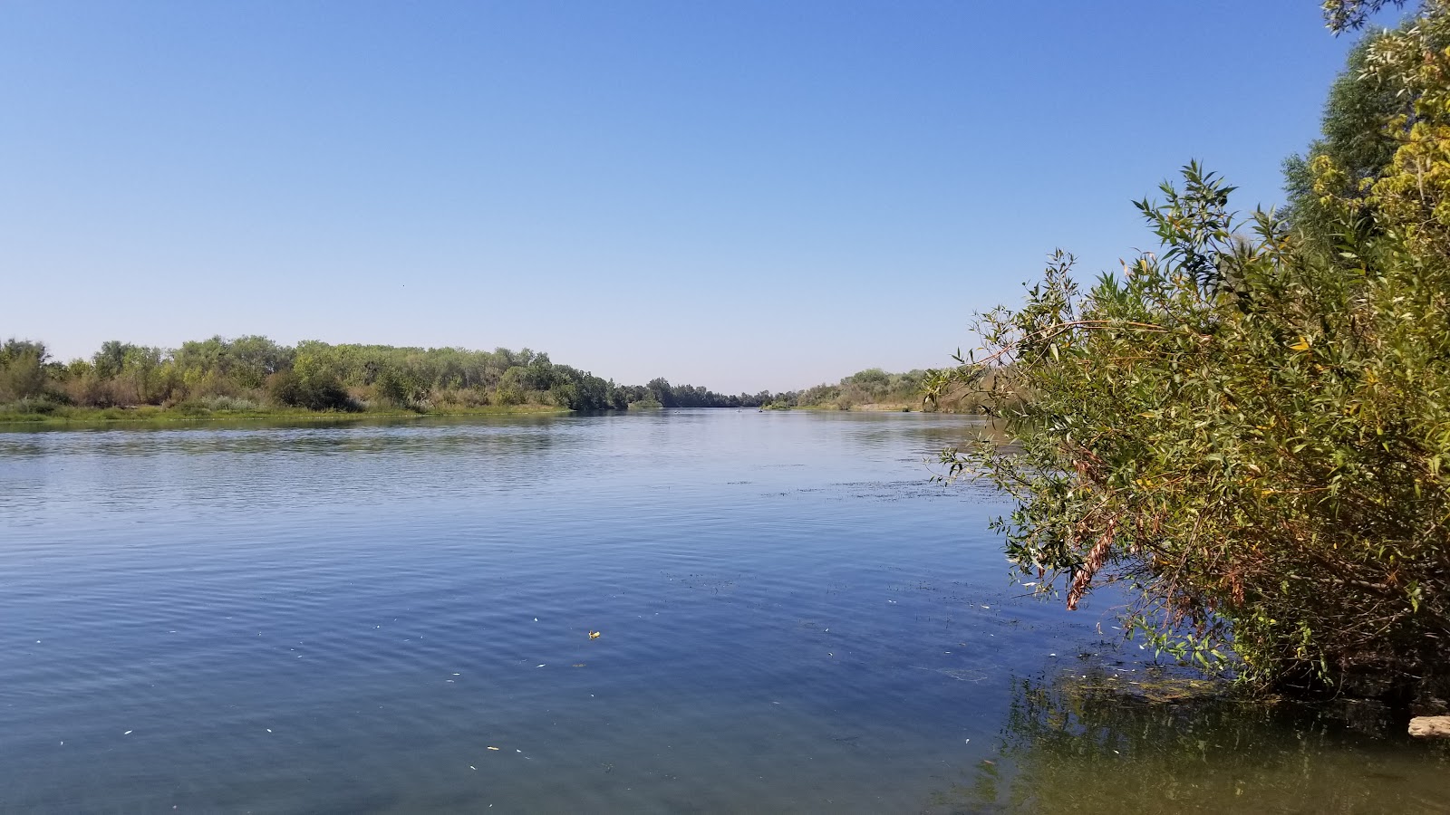 Bidwell-Sacramento River SP