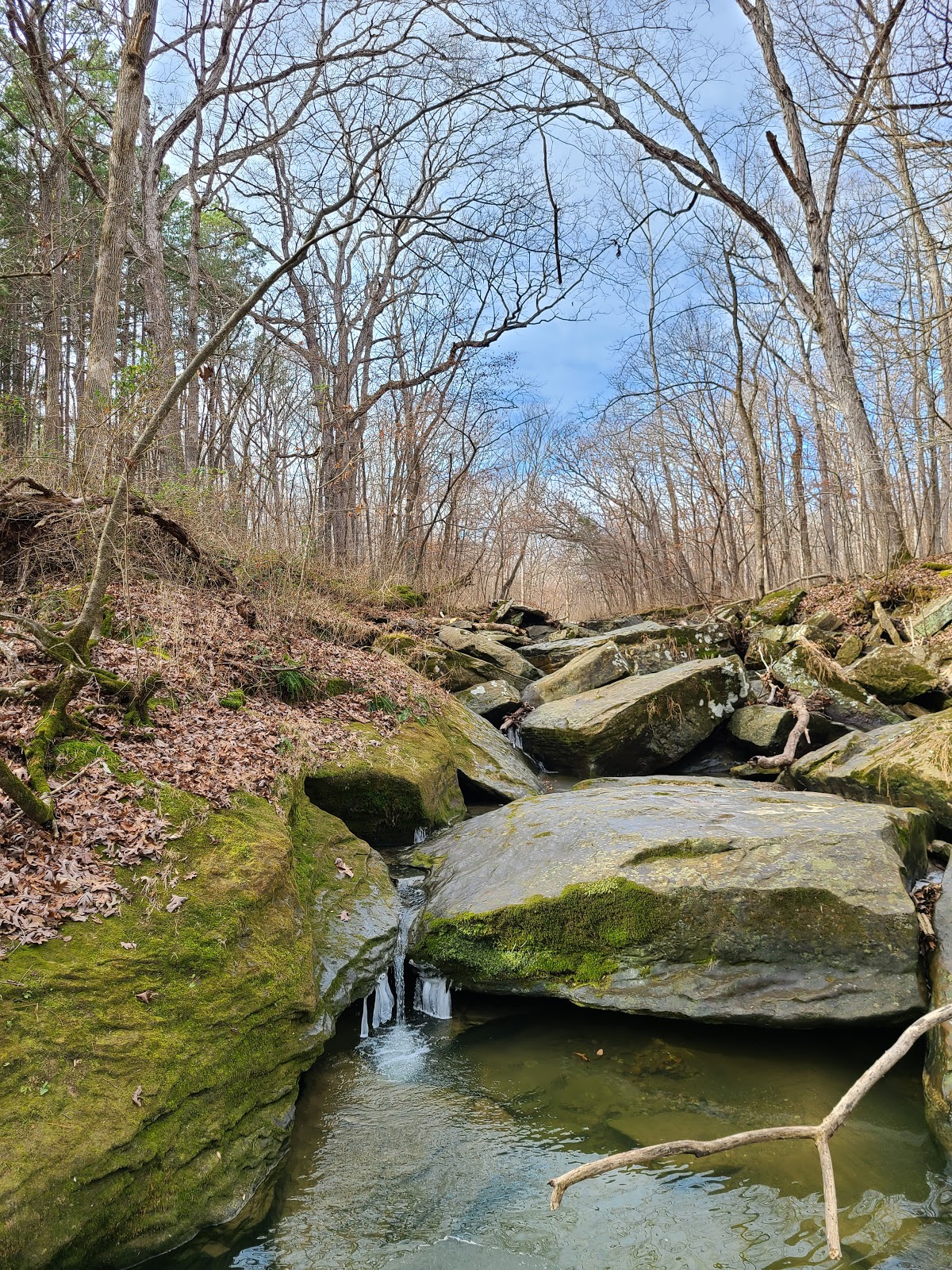 Pine Ridge - Randolph County SRA