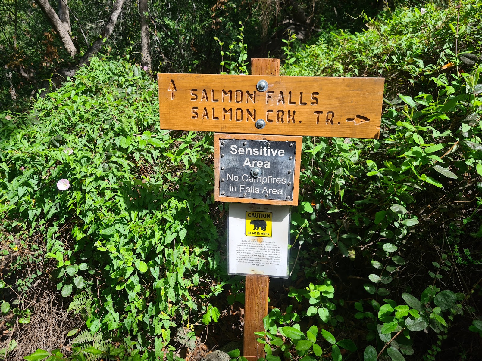 Salmon Creek Trailhead