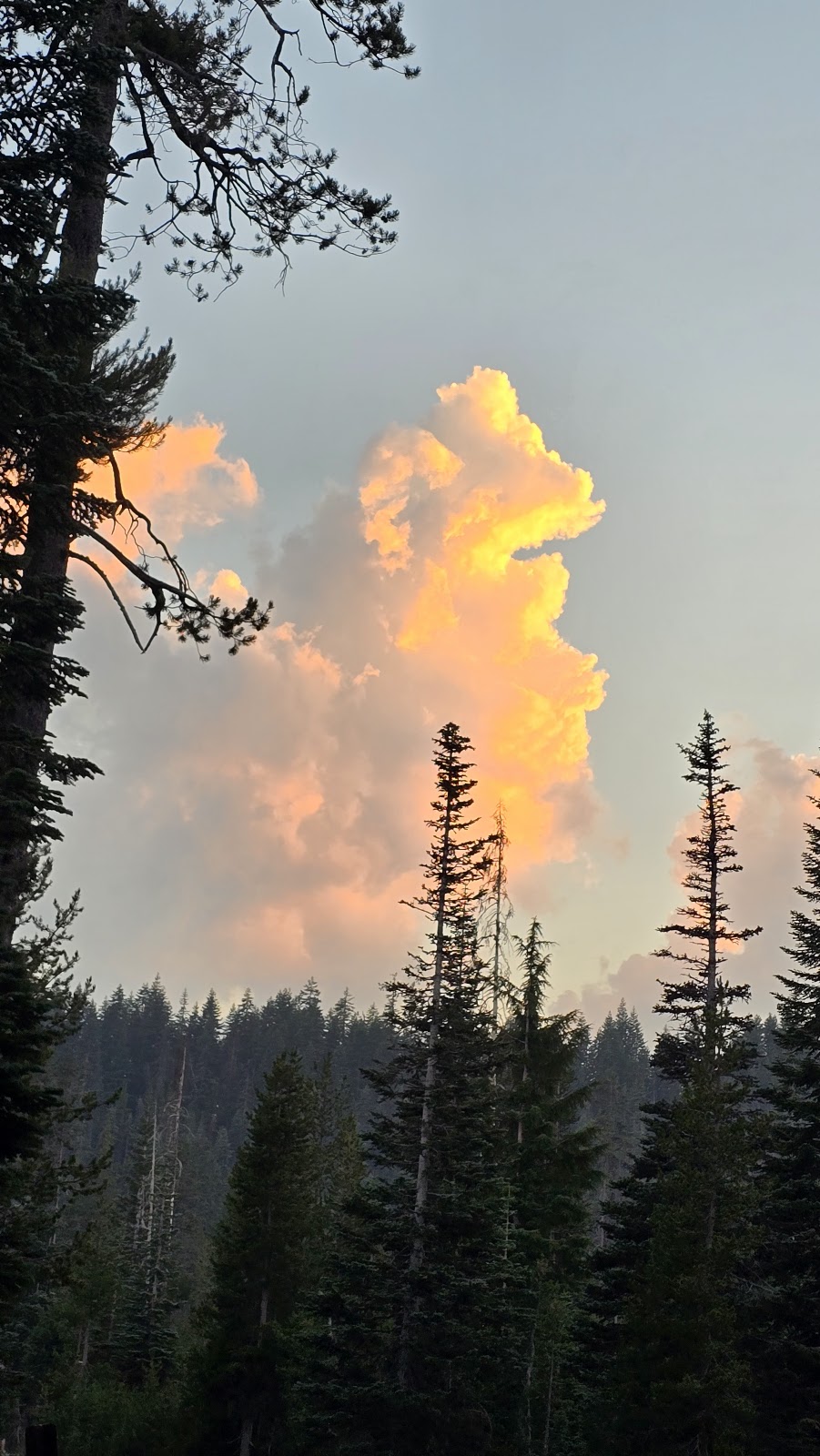 Mazama Village Campground