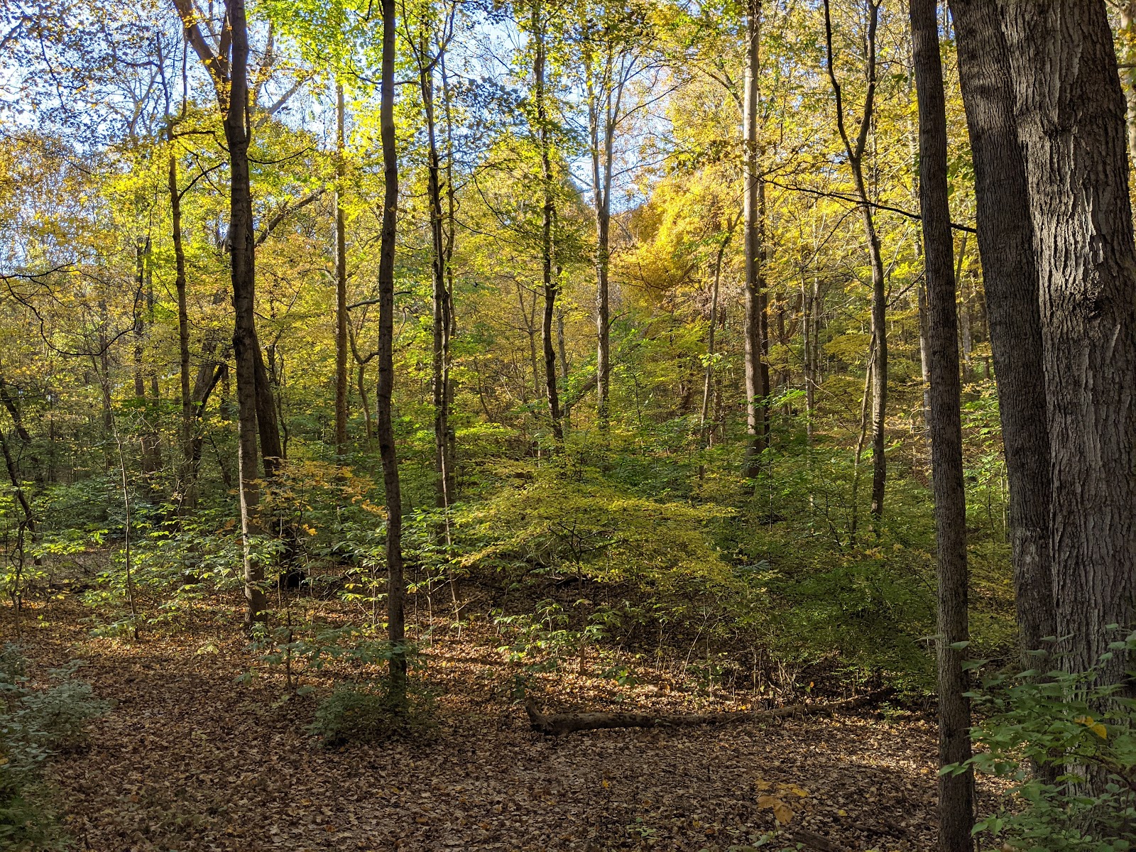 Family - Red Hills State Park