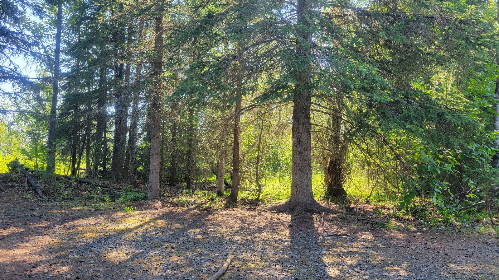 Black Spruce RV Park