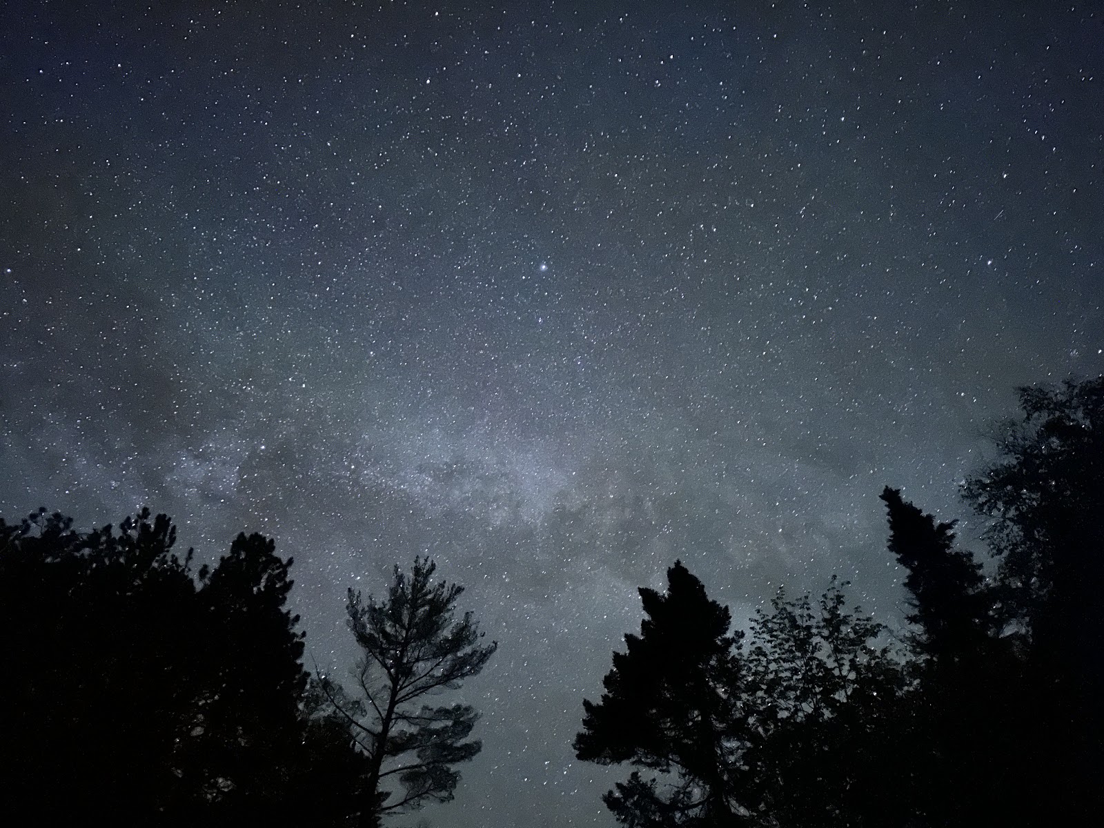 Luna-White Deer Lake NF Campground