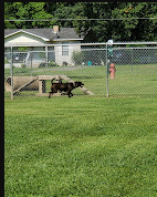 Cabot Community Pond & Walking Track