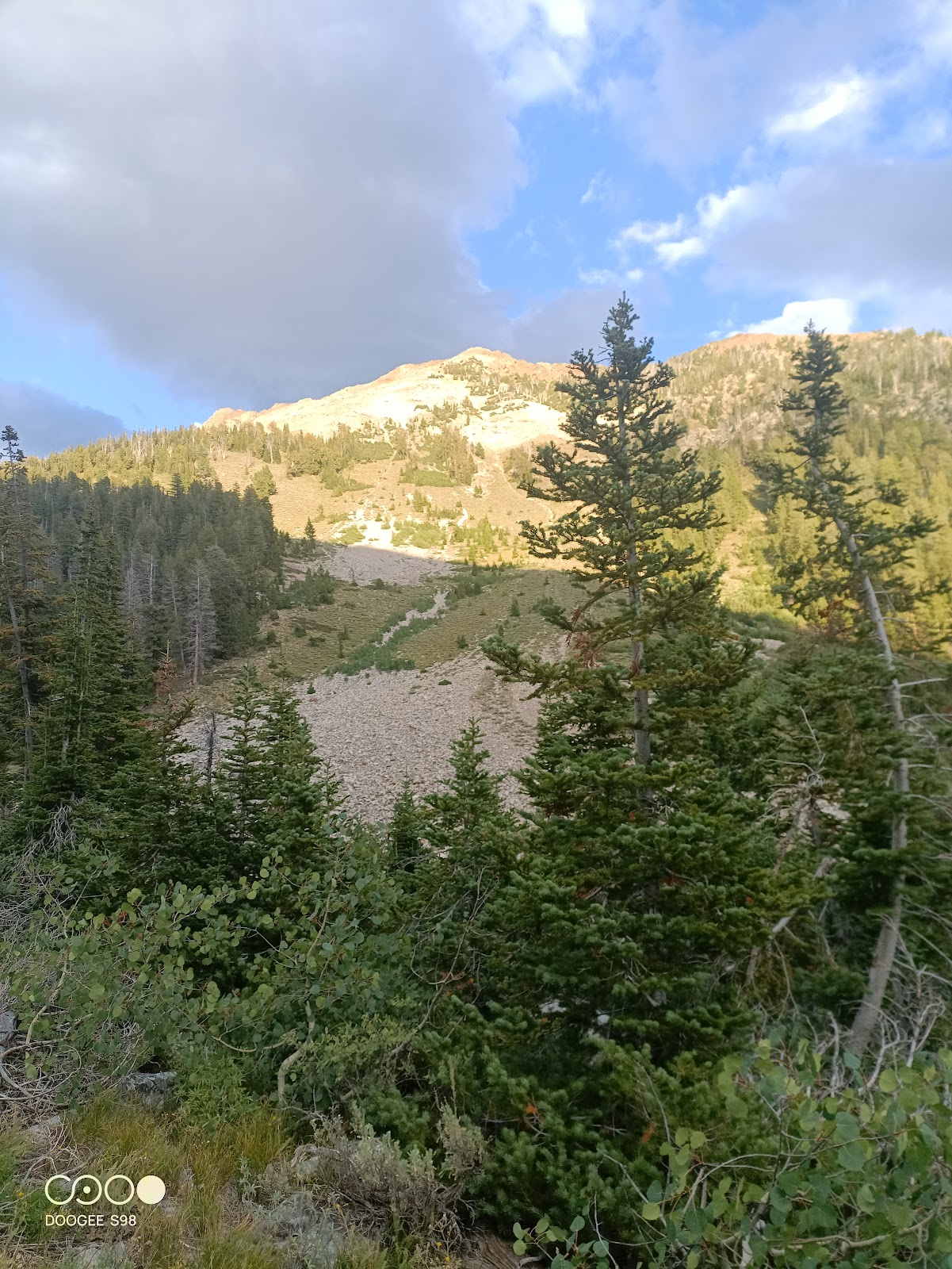 Federal Gulch Campground