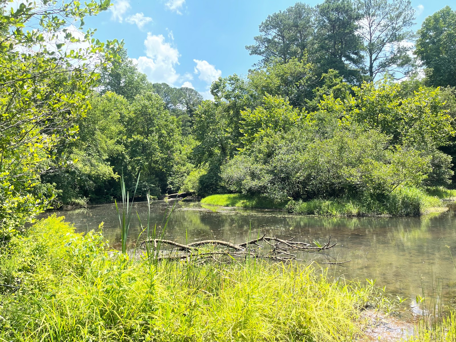 Cooper'S Furnace Day Use Area (GA)