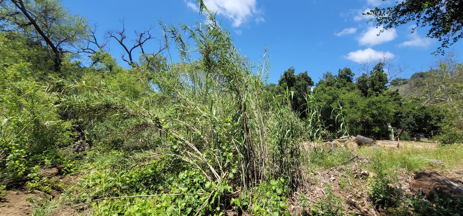 Camp Comfort County Park