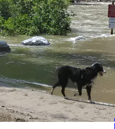 Carlton Restaurant & RV Park