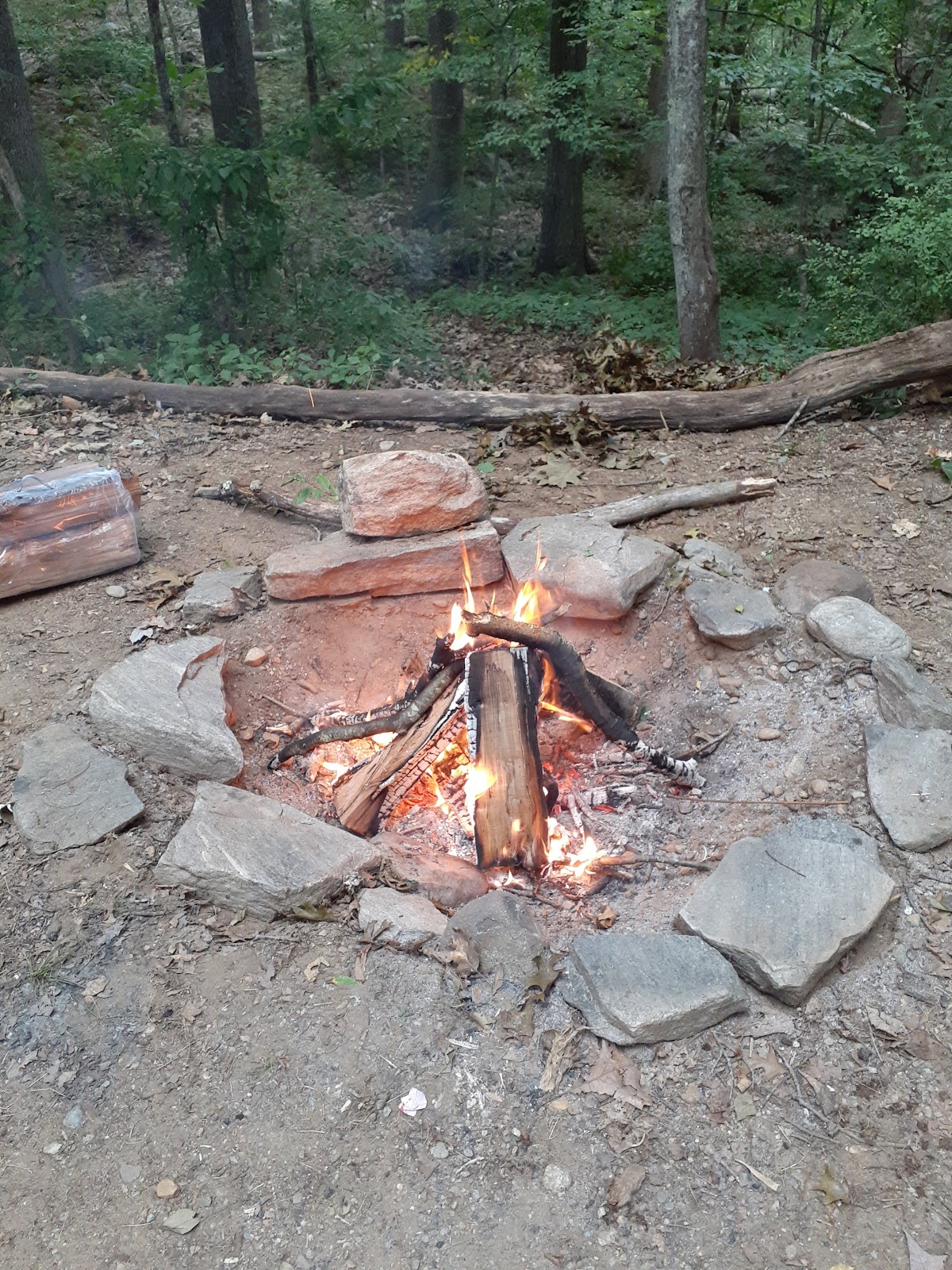 Salt Rock State Forest