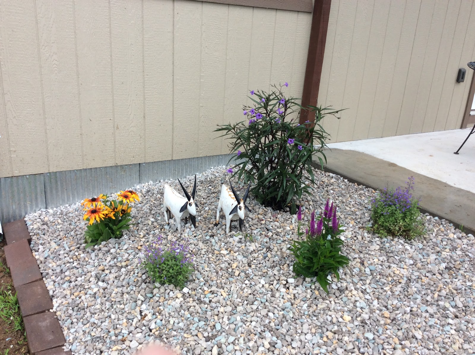 Tiny House Adventures