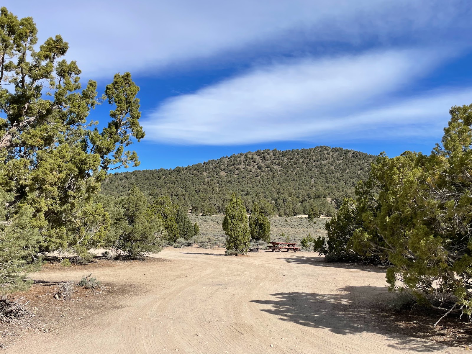 Pine Grove Campground