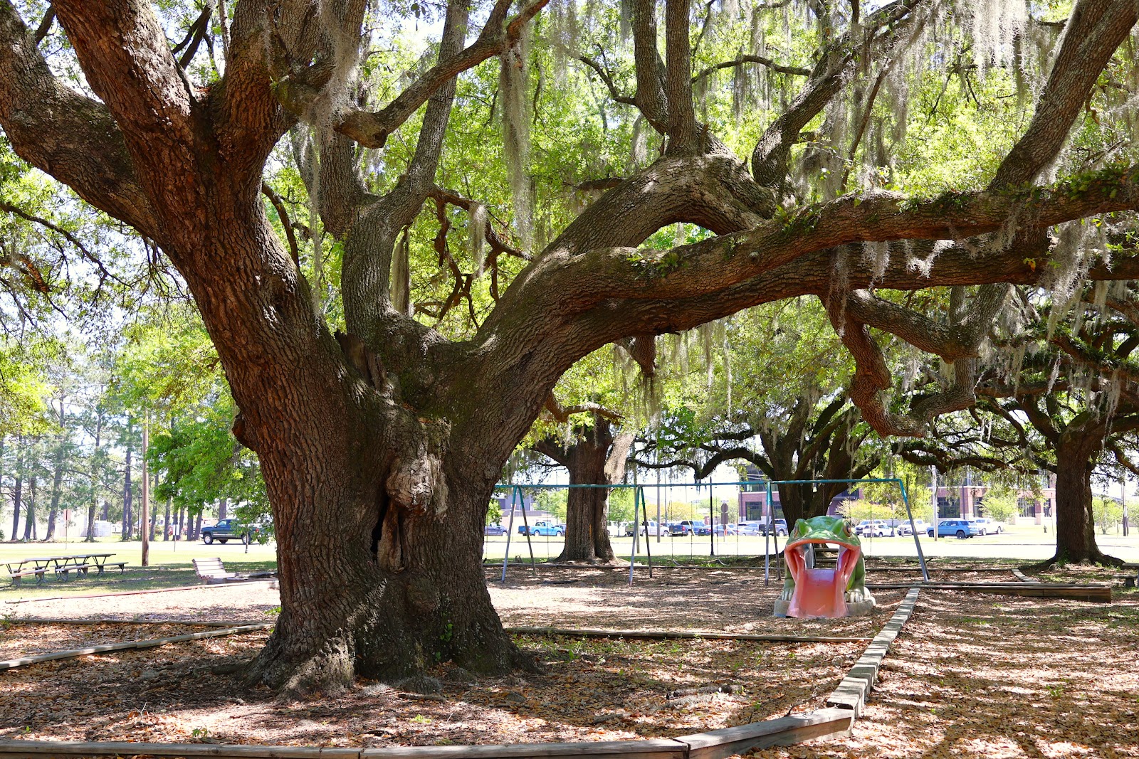 Joint Base Charleston Campground