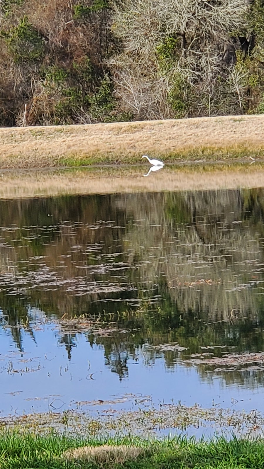 Artesian Park RV Campground