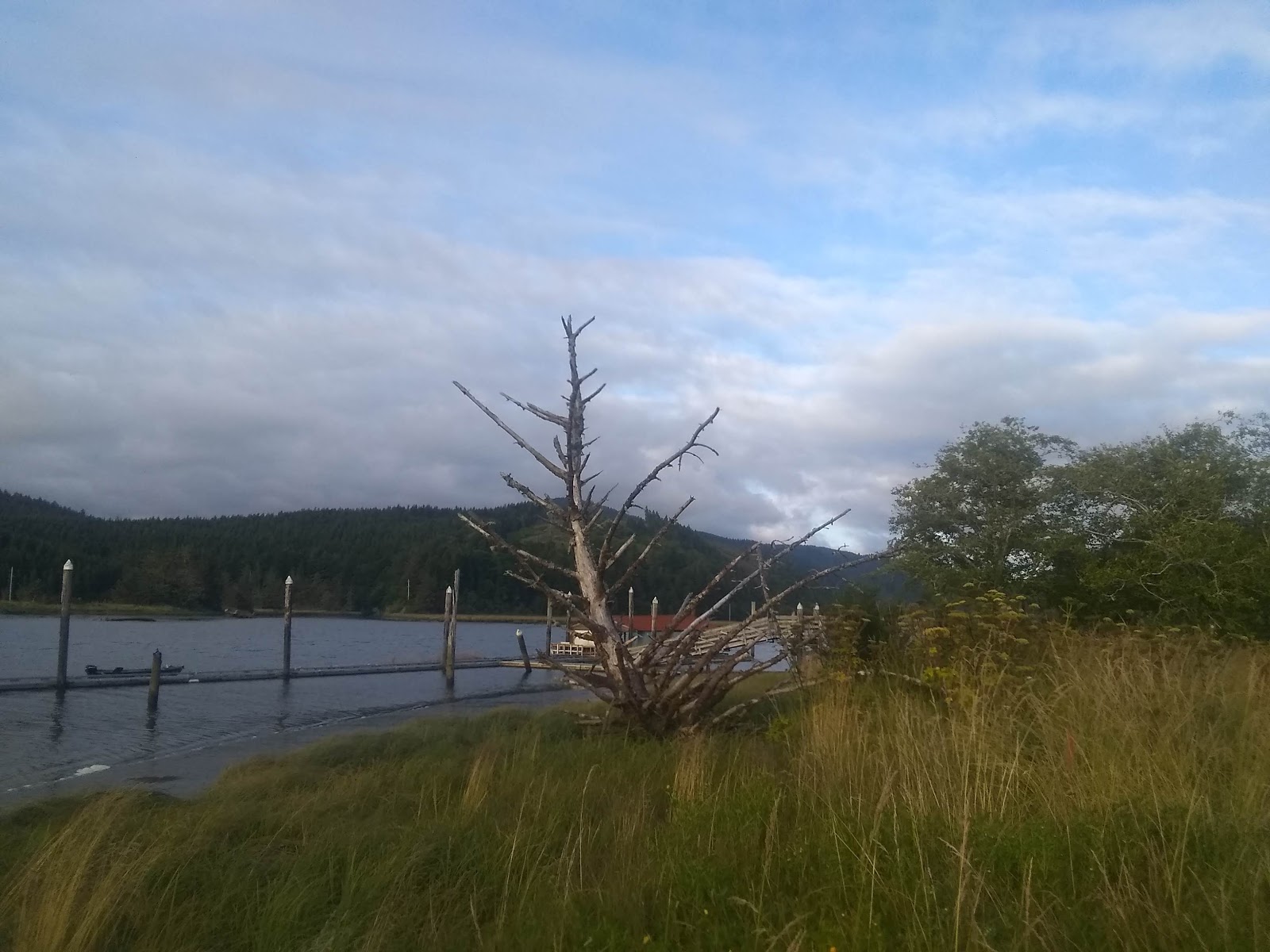 King Silver RV Park & Marina