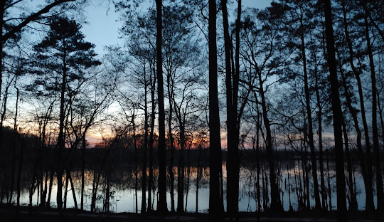 Roland Cooper State Park