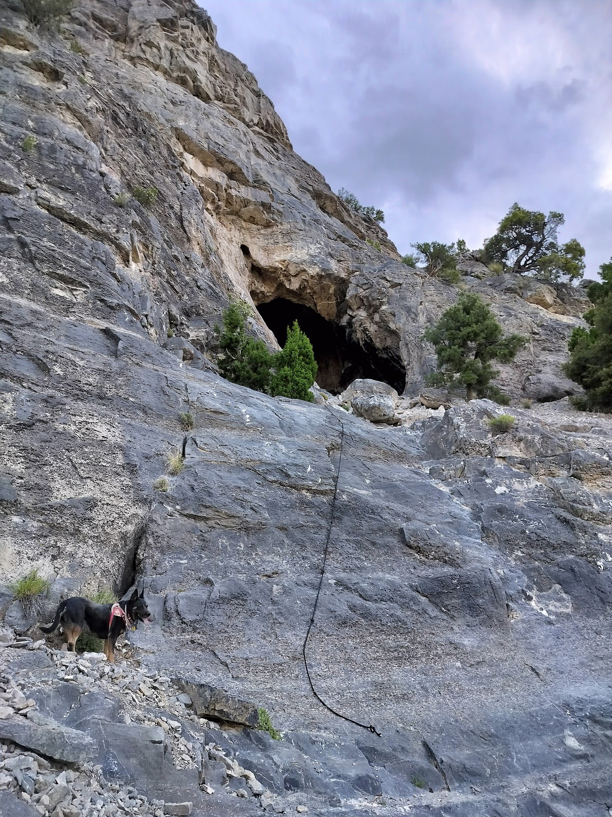 Goshute Canyon and Goshute Cave