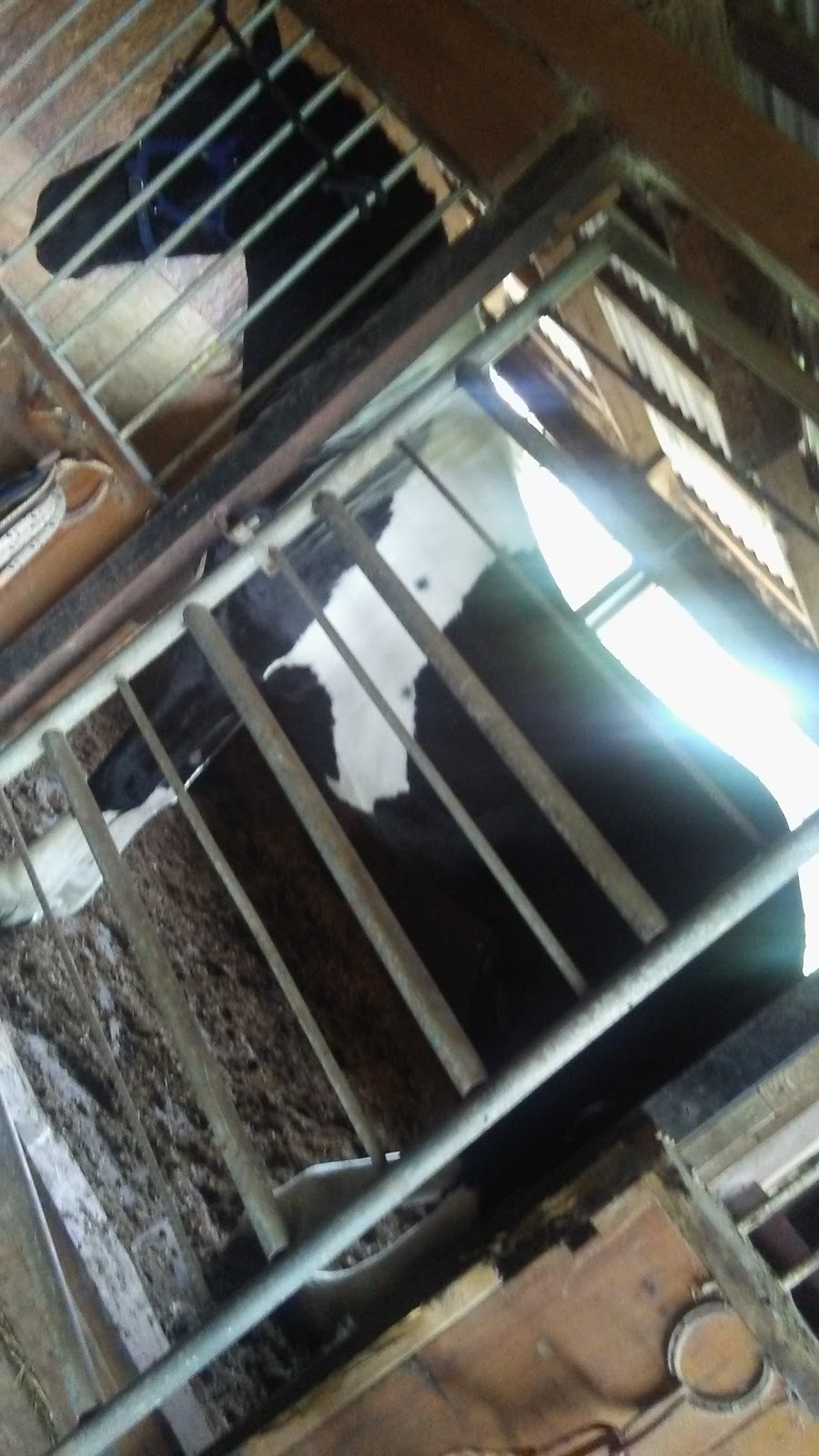 Almost Heaven RV Resort